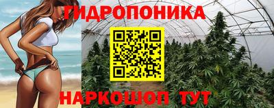 кокс Обнинск