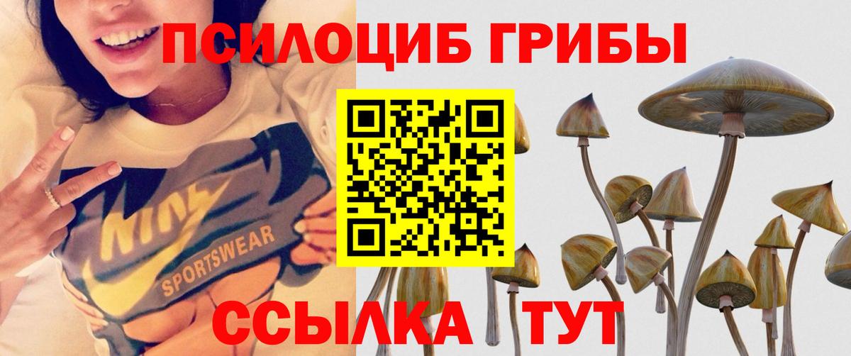 Псилоцибиновые грибы прущие грибы Миасс