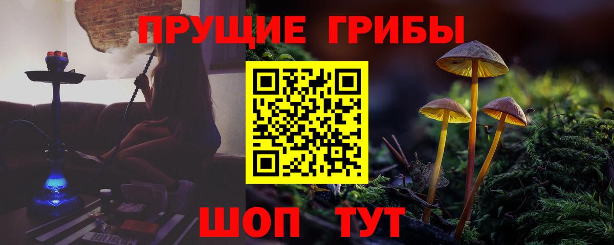 Галлюциногенные грибы Psilocybe  Галлюциногенные грибы GOLDEN TEACHER  Миасс  Вход с VPN 